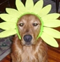 Bailey