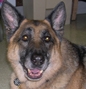 Luther