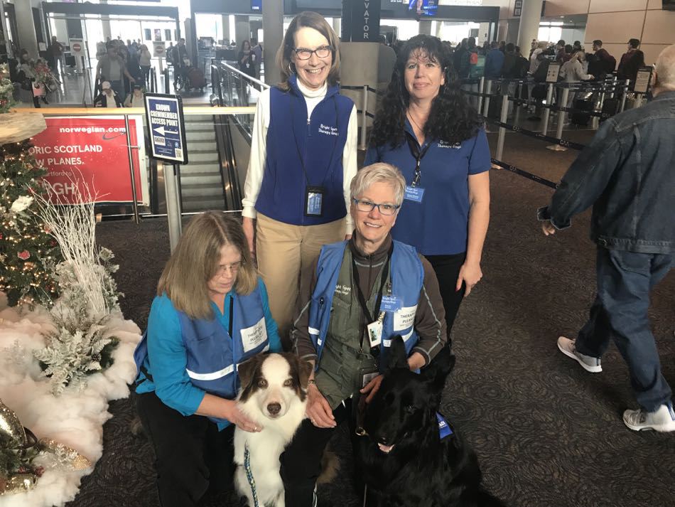 Bright Spot Therapy Dogs at Bradley International Airport