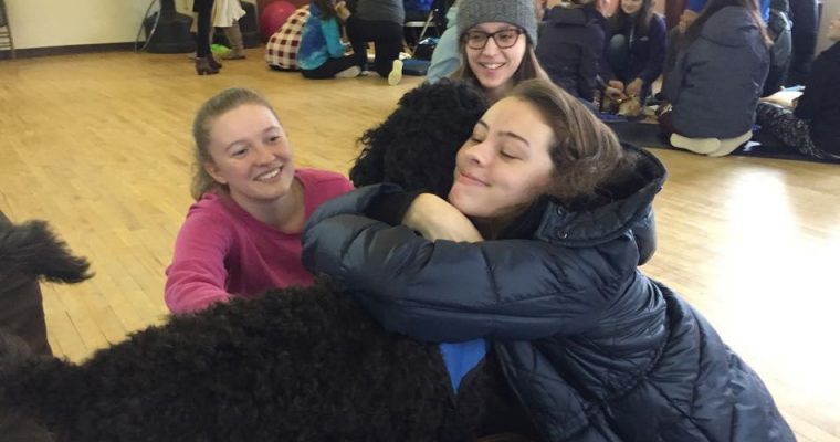 Therapy Dogs Making a Difference During Final Exams