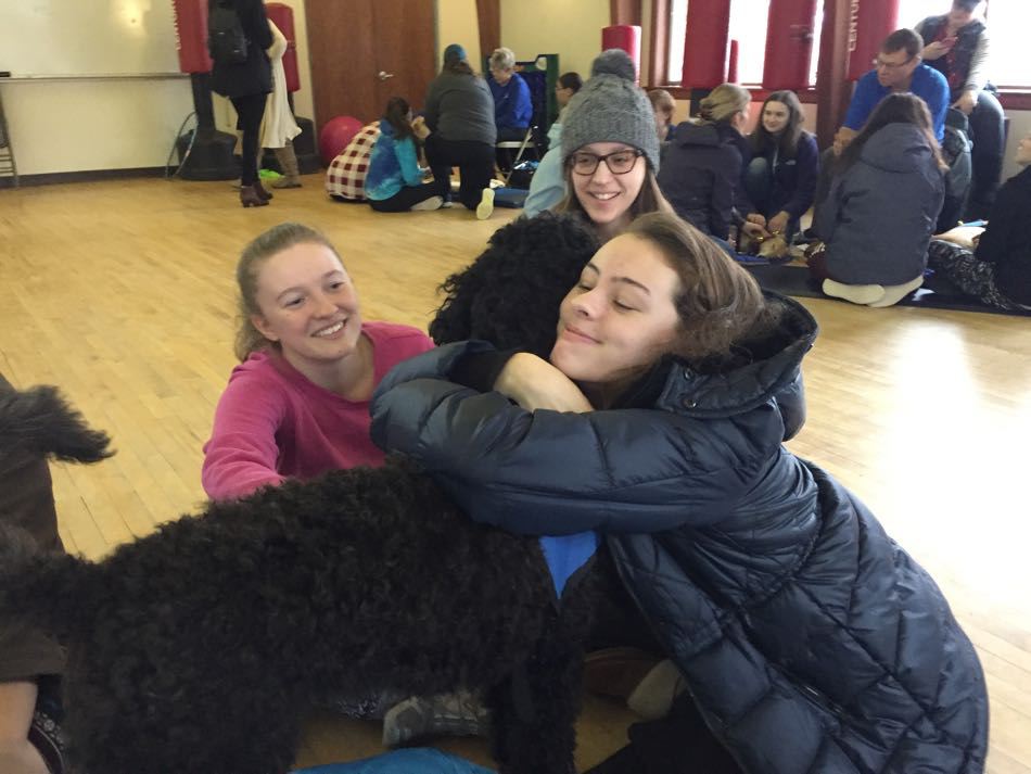 Therapy Dogs Making a Difference During Final Exams