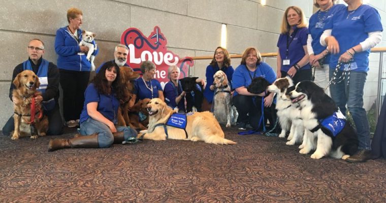 Bradley International Airport Celebrates National Therapy Animal Day